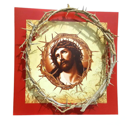 Authentic Bethlehem Crown of Thorns from Jerusalem